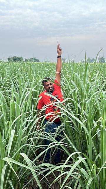 વિકસેલી શેરડી: ખેતર મુલાકાત | Gujarat Bio Organics